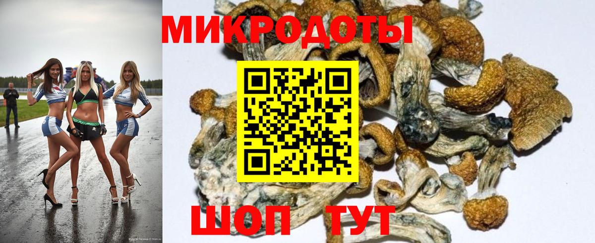 Псилоцибиновые грибы мицелий Липецк