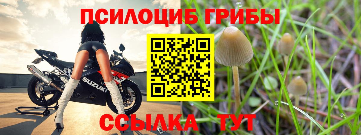 Галлюциногенные грибы GOLDEN TEACHER  Псилоцибиновые грибы Psilocybine cubensis  Вход с VPN  Липецк 